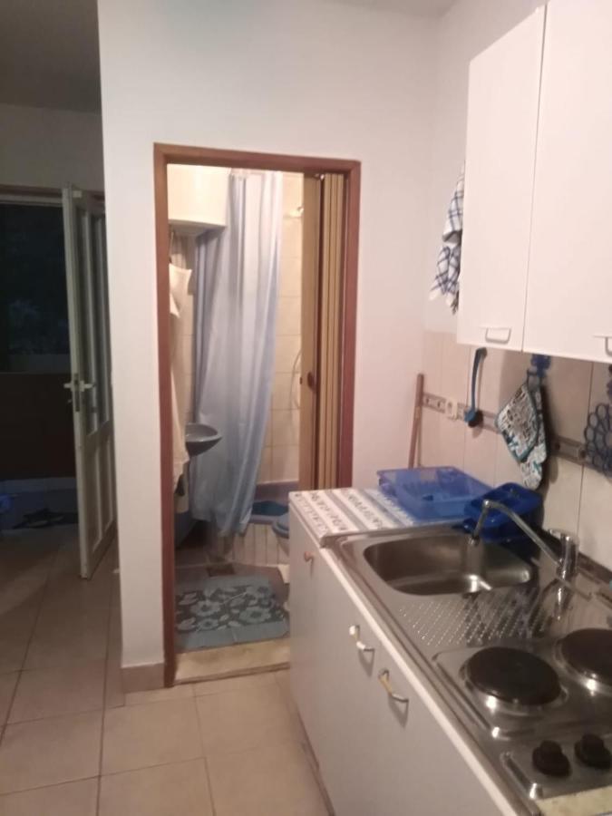 Apartmani Kunjasic Trstenik  Ngoại thất bức ảnh
