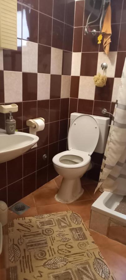 Apartmani Kunjasic Trstenik  Ngoại thất bức ảnh